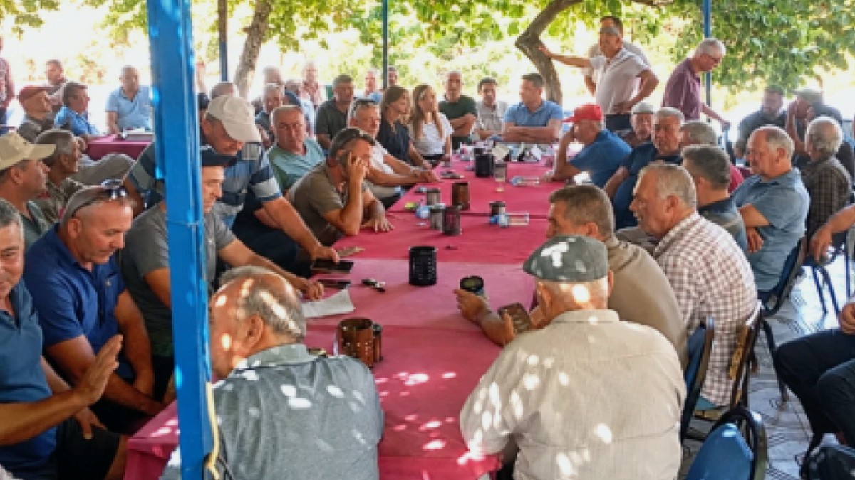 Zeytin Üreticileri Fiyat Endişesiyle Hasada 10 Gün Ara Verdi