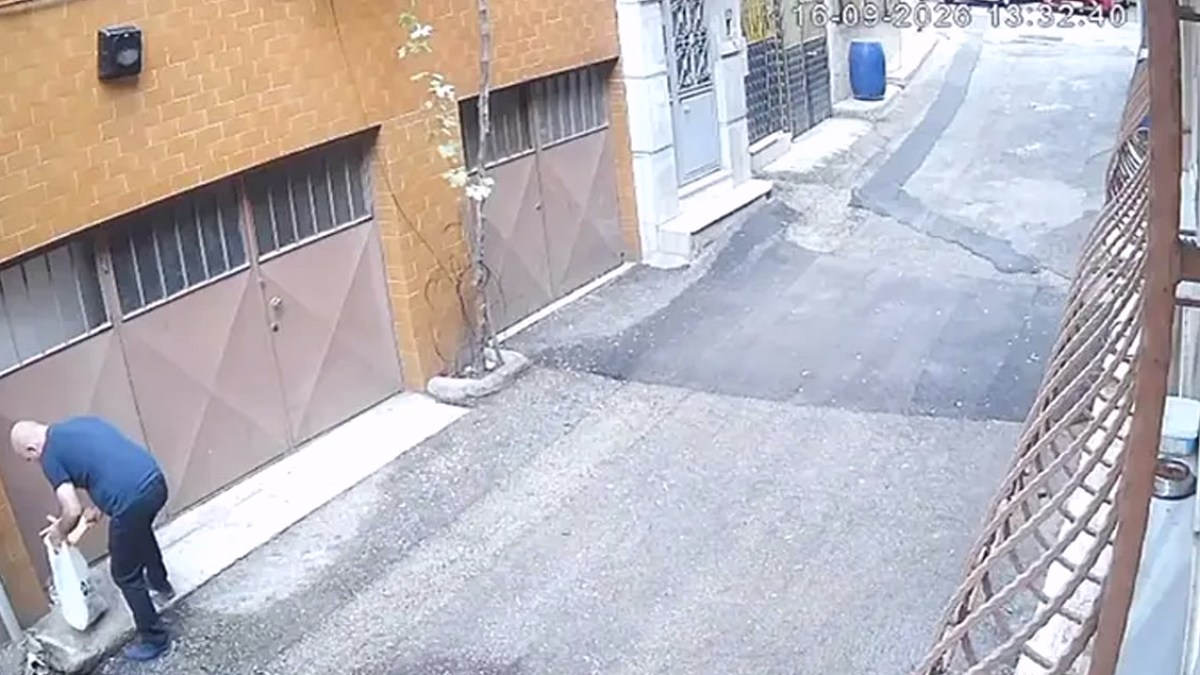 Sokak Hayvanlarına Zulüm: Mama ve Su Kapları Çöpe Atıldı