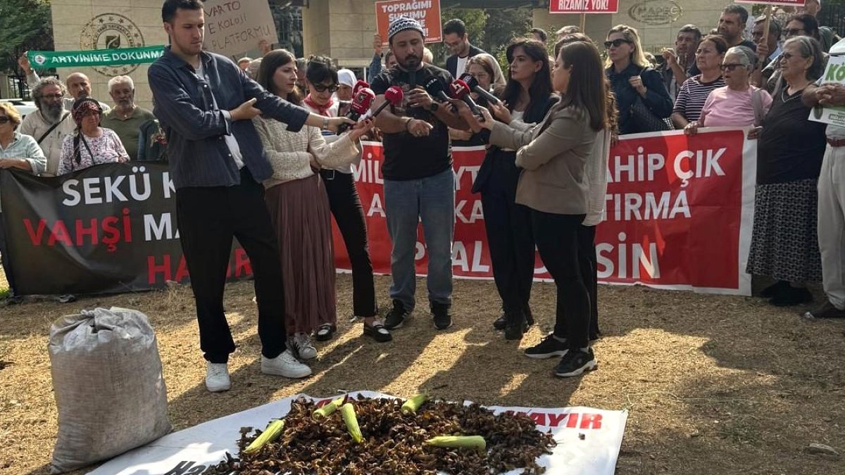 Akbelen'de Toprak Mücadelesi: Mısır ve Fındık Değeri, Kömür Madenciliğine Karşı