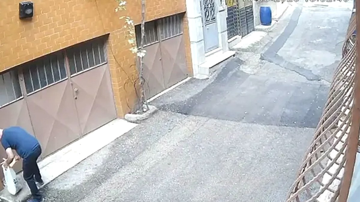 Sokak Hayvanlarına Zulüm: Mama ve Su Kapları Çöpe Atıldı