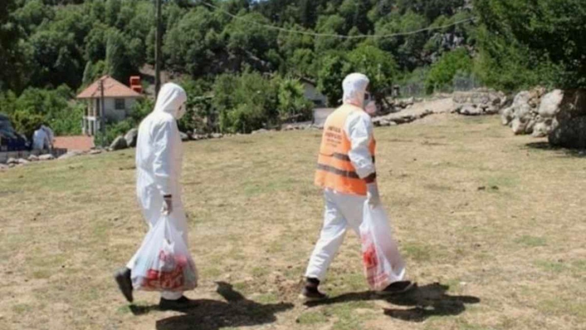 İzmir'de Mavi Dil Paniği: 15 Mahalle Karantinaya Alındı