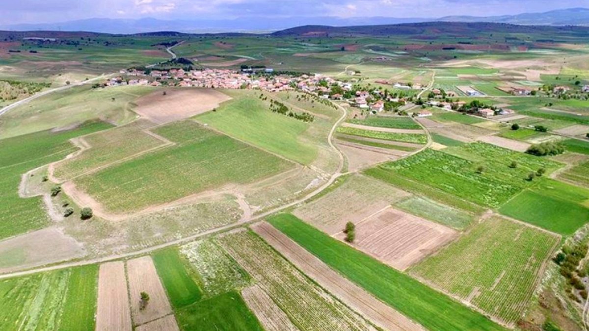 İşlenmeyen Tarım Arazileri Sezonluk Kiralanıyor: Detaylar Açıklandı