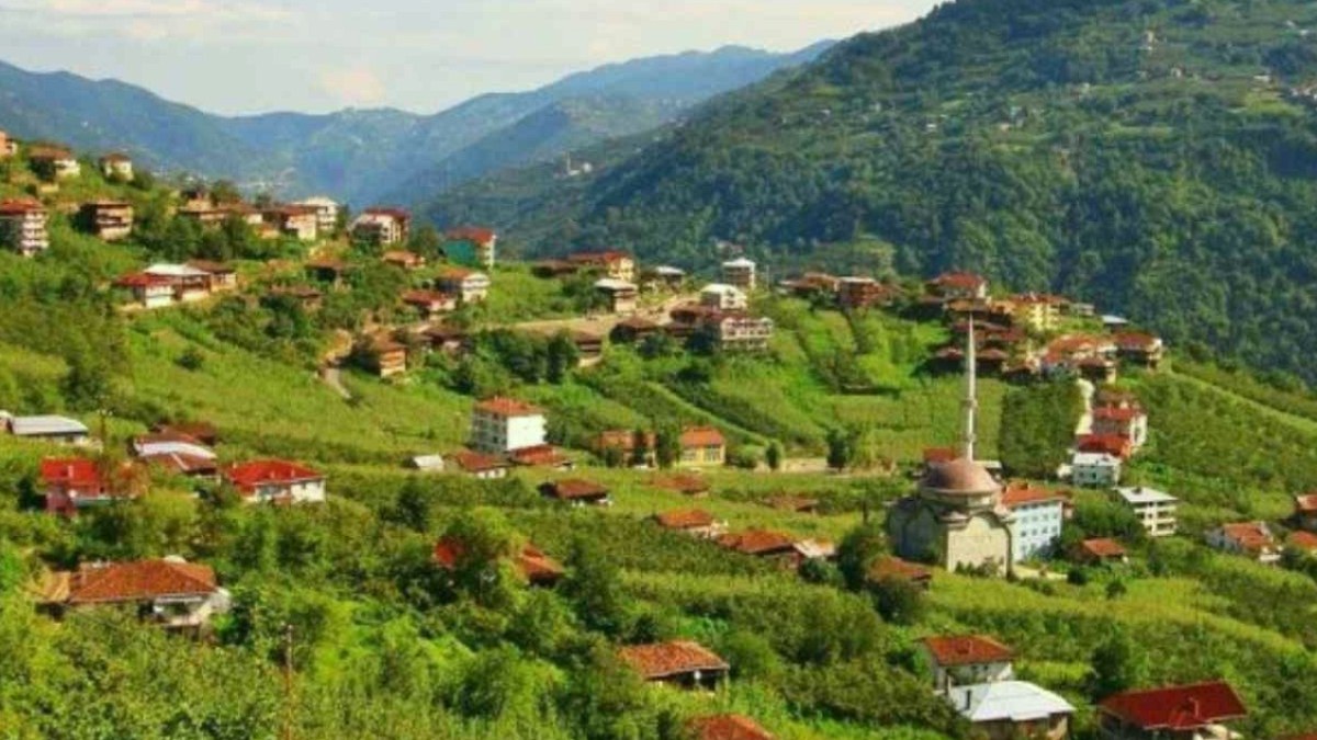 Akademik Başarının Sırrı: Trabzon'un Bilim Köyü 100 Profesör, 300 Doktor Yetiştirdi