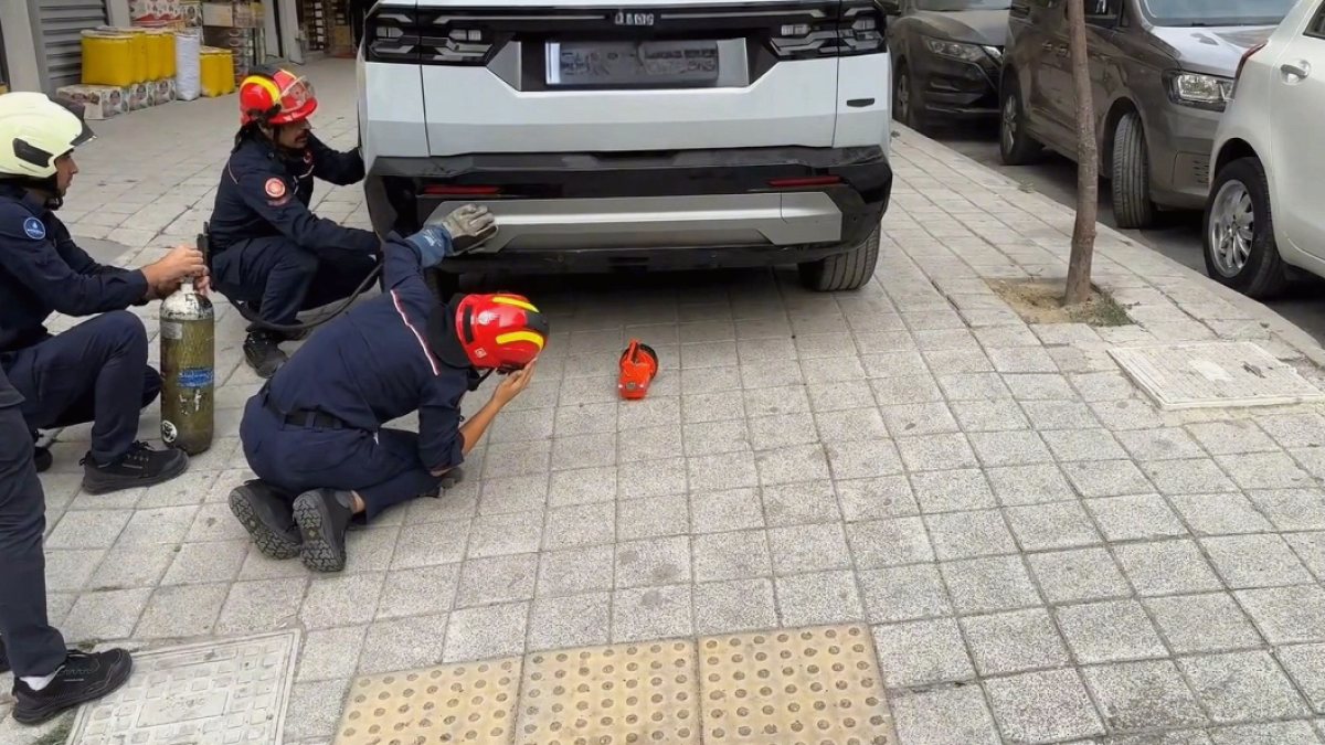 Avcılar'da Cip Arasına Sıkışan Kedi, İtfaiye Ekiplerince Kurtarıldı