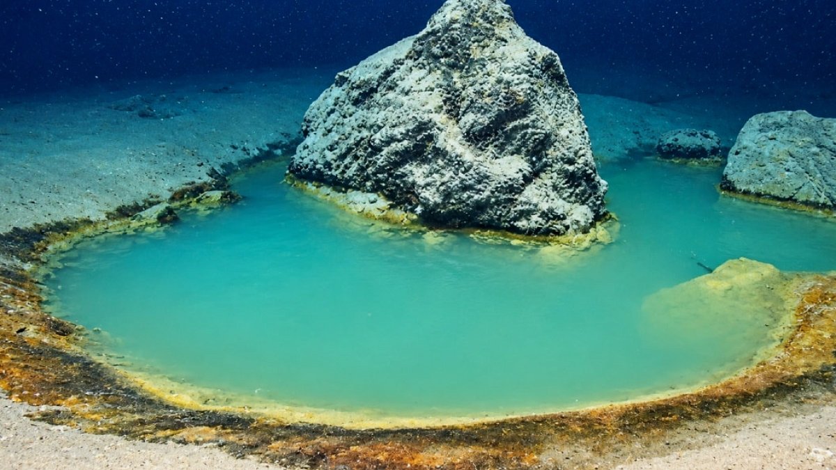 Kızıldeniz'in Derinliklerindeki Tuzlu Havuzlar İlk Yaşamın Sırlarını Aralıyor