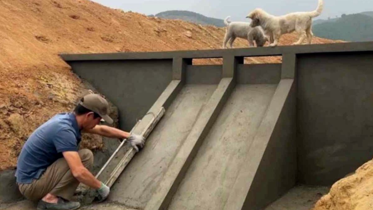Nehir Enerjisiyle Elektrik Üretiyor: Faturaları Sıfırlayan Yaratıcı Çözüm
