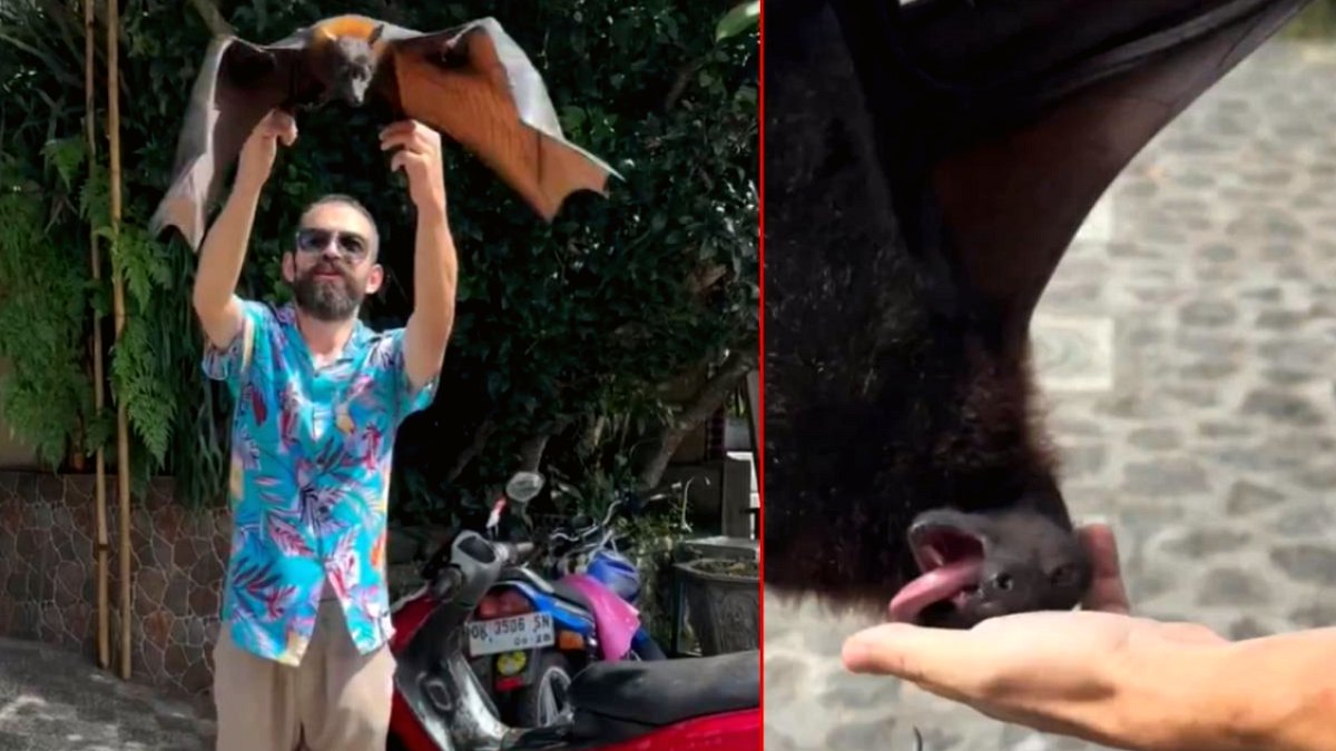 Türk YouTuber Yarasa Isırığıyla Gündemde: Pandemi Korkuları Yeniden Canlandı