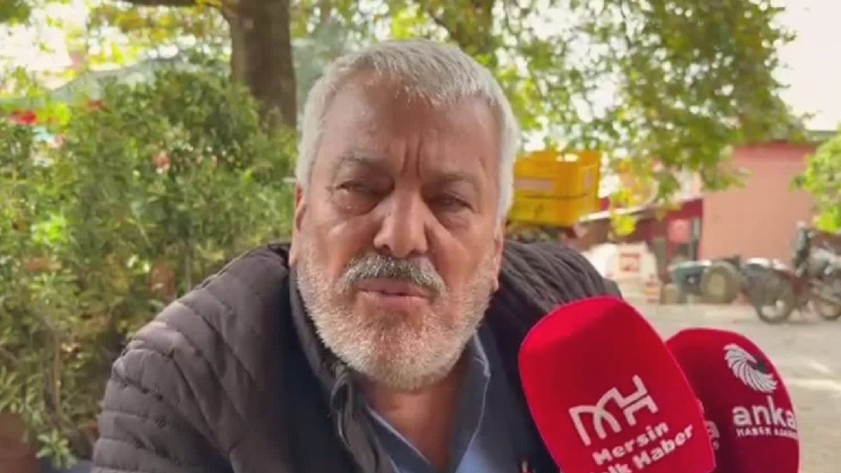 Mersin Şeftali Üreticileri Zararına Satış Yapıyor: Maliyet 13 TL, Alım 5 TL