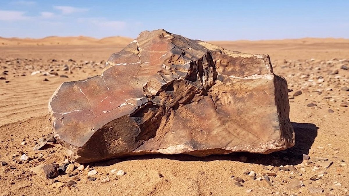 Mars'tan Gelen Kaya Müzayedede Rekor Fiyata Alıcı Buldu