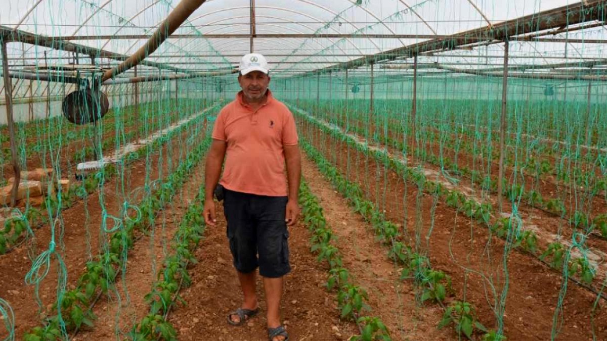 Serik'te Çiftçiler Ürün Değişikliğine Gidiyor: Kapya Biberde Beklenti Yüksek