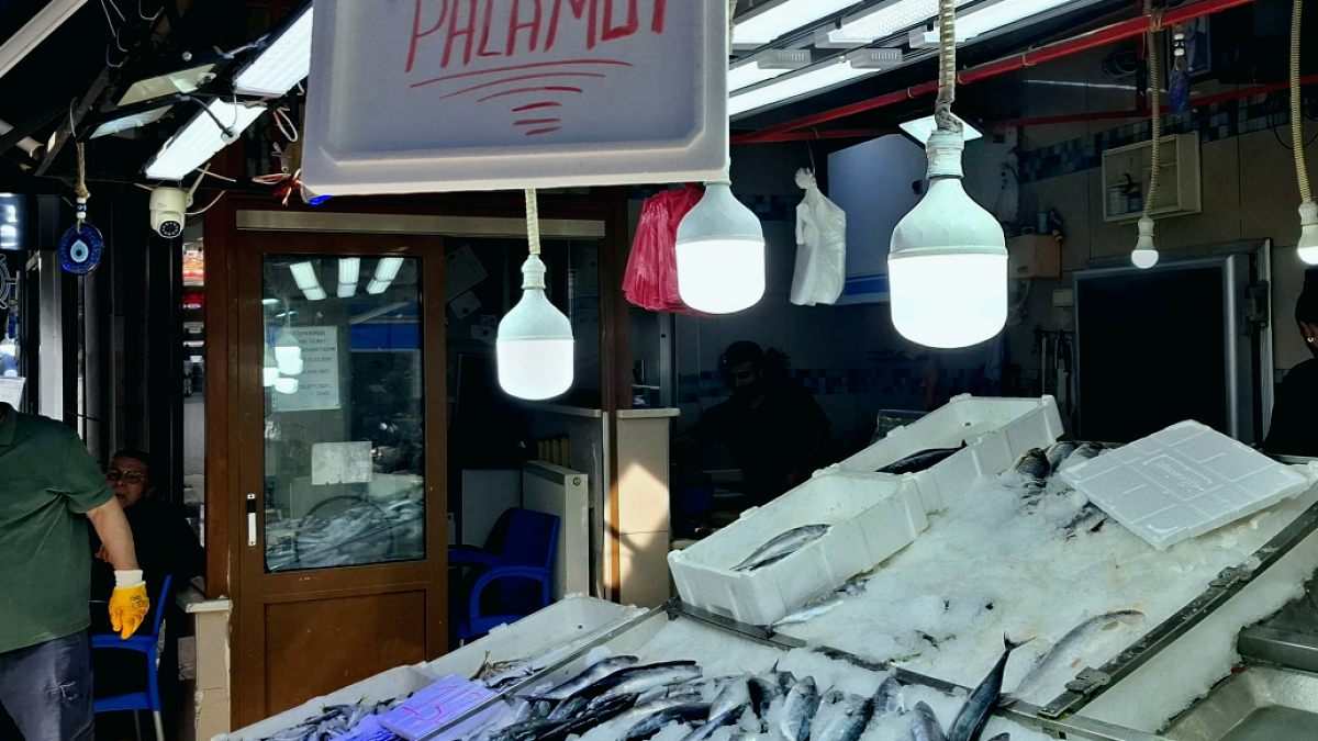 Sinop'ta Sosyal Dayanışma: Askıda Palamut Uygulaması Başladı