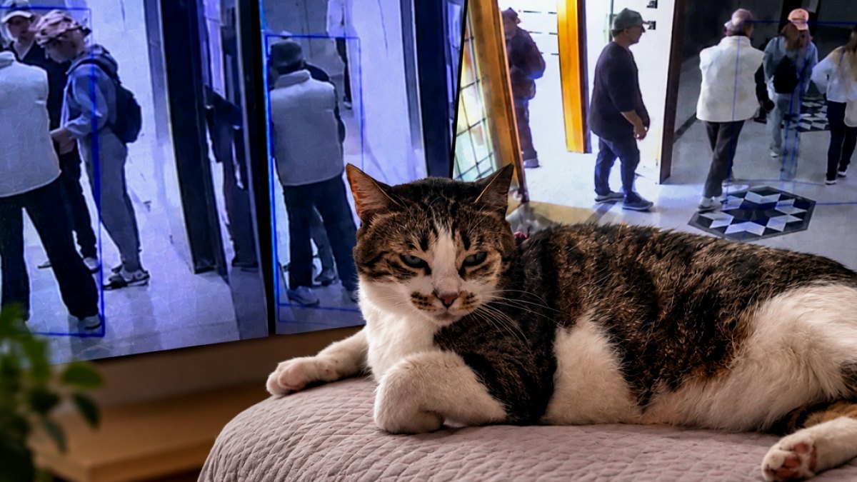 Can Dost Mucize, Hırsızların Planını Bozdu: 12. Kattan Geri Püskürttü