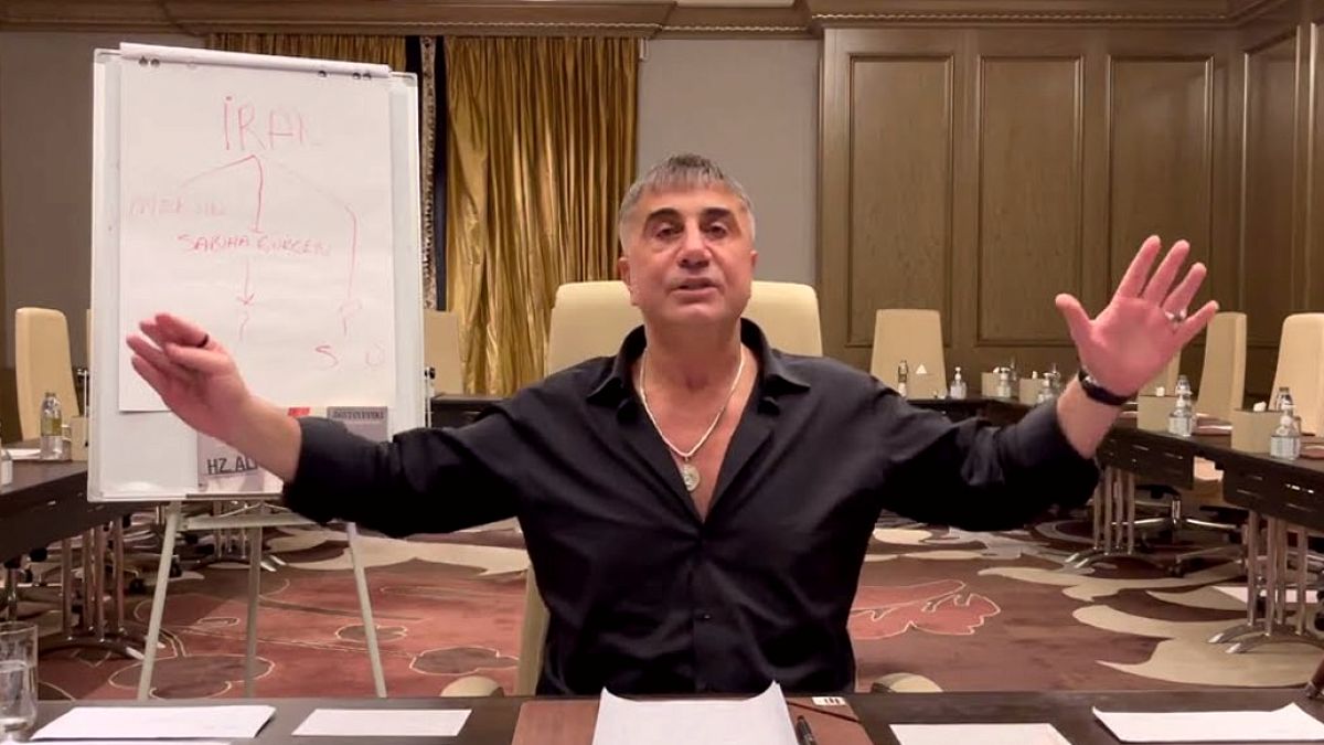 MHP'li Özdemir'den Sedat Peker Açıklaması: Vatanına Kavuşacak