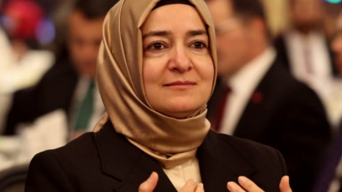 AKP'li Kaya'nın Malvarlığı ve Denizcilik Hisseleri İddiaları Meclis Gündeminde