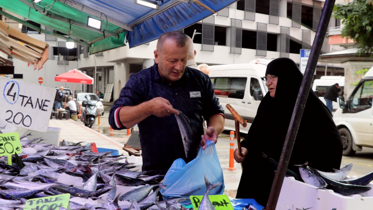 Palamut Fiyatları Düştü: Balıkçılar ve Tüketiciler Tezgahlara Akın Etti