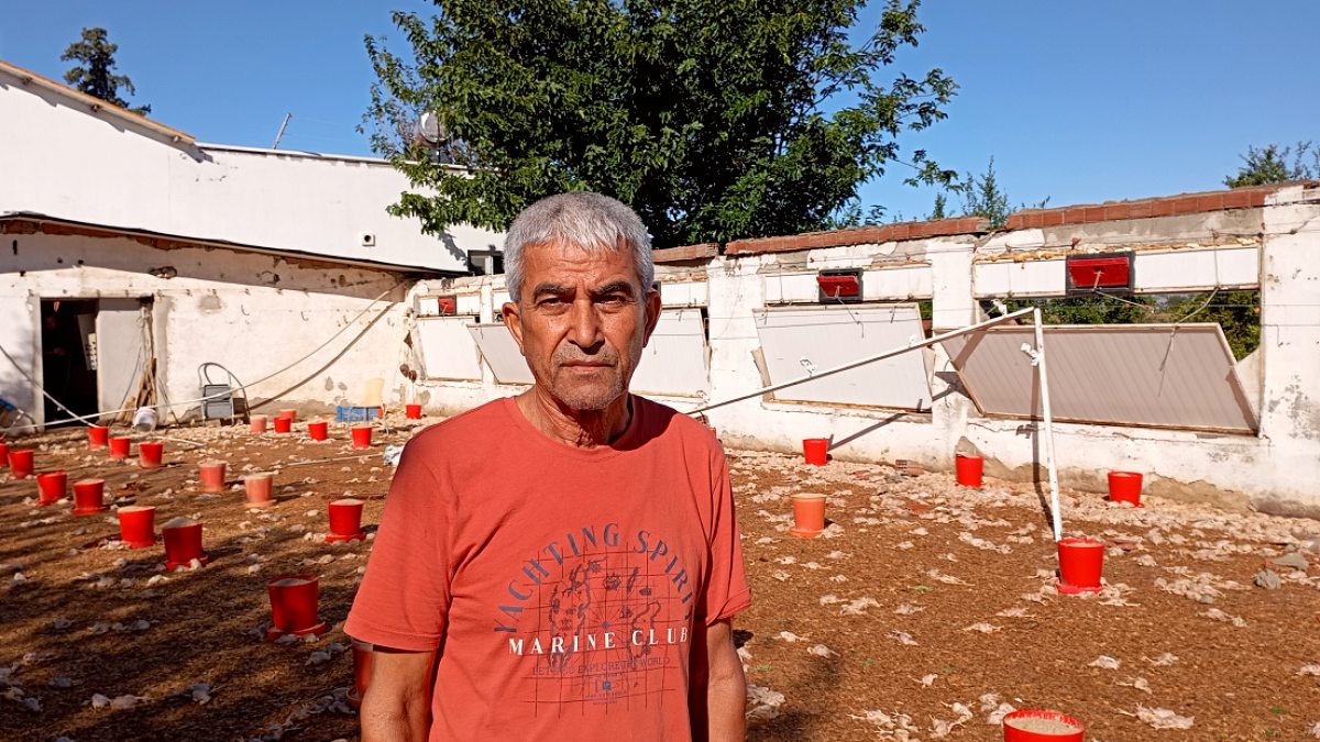 Adana'da Hortum Faciası: 20 Bin Civciv Telef Oldu, Milyonluk Zarar