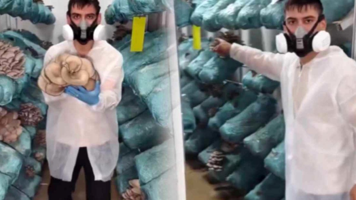 Avukatlık Kariyerini Üretime Dönüştürdü: Ayda 250 Bin TL Gelir Elde Ediyor