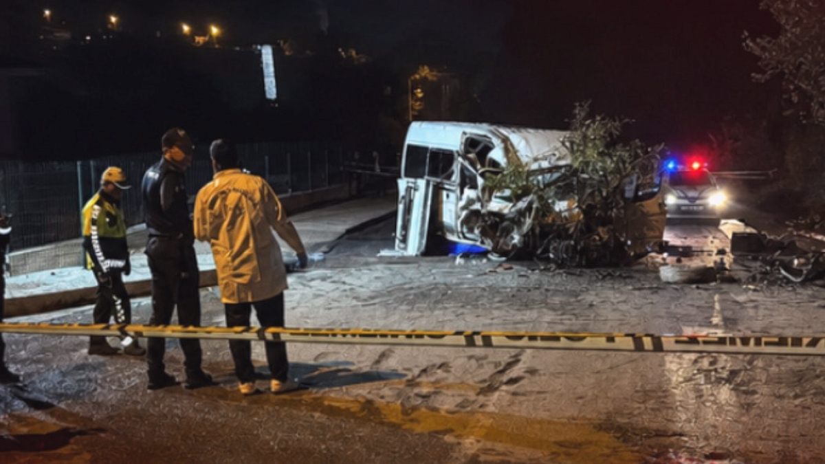 Karabük'te Minibüs Ağaca ve Direğe Çarptı: 6 Yaralı