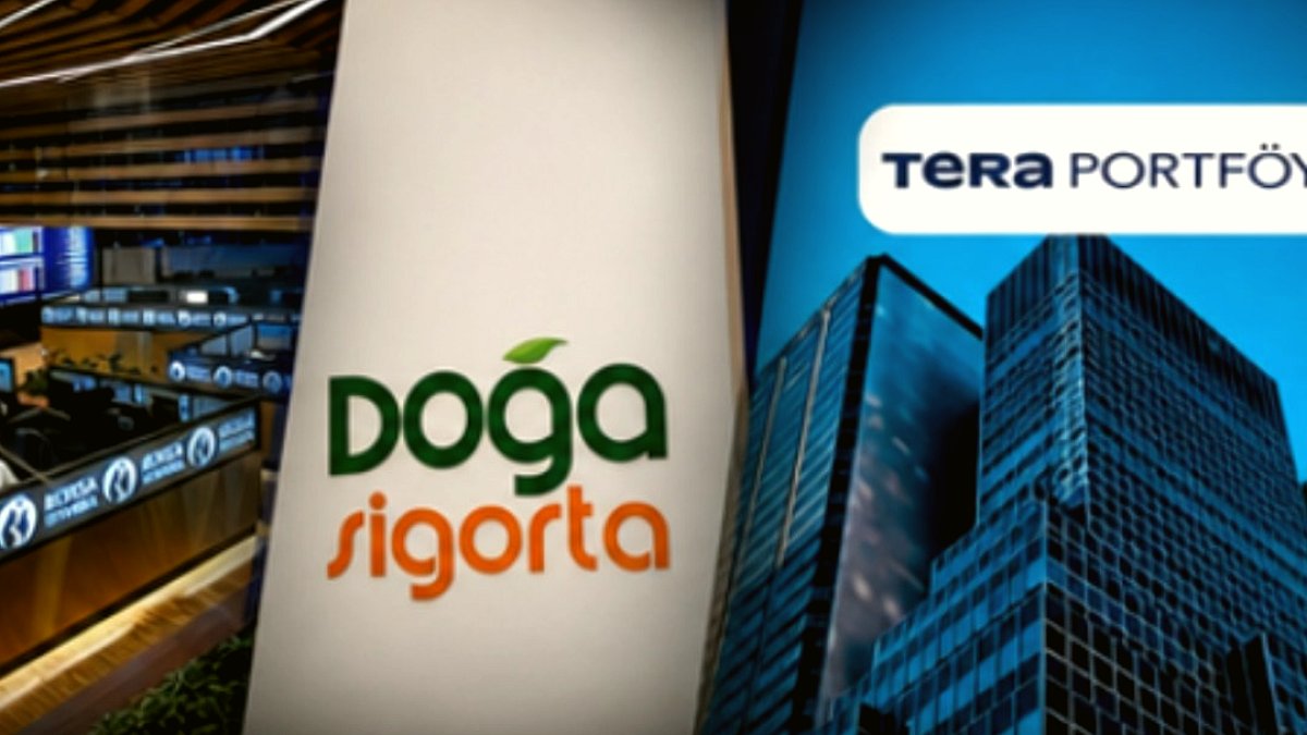 Tera Grubu'nun Doğa Sigorta Alımı Engellendi: Vurgun İddiaları ve Bürokratik Mücadele