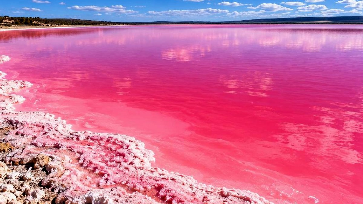 Avustralya'nın Pembe Gölü Lake Spencer Renk Değiştirdi: Nedenleri Açıklığa Kavuştu