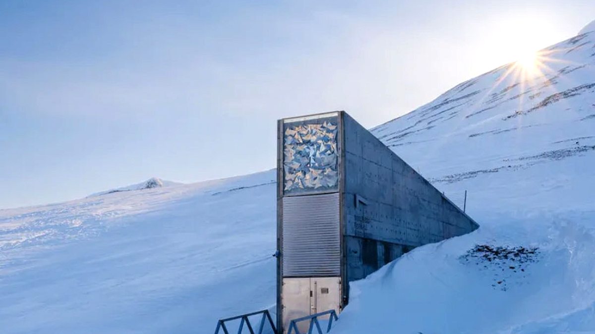 Svalbard Tohum Deposu Genişliyor: İnsan Sağlığı İçin Yeni Bir Kasa Hazırlanıyor