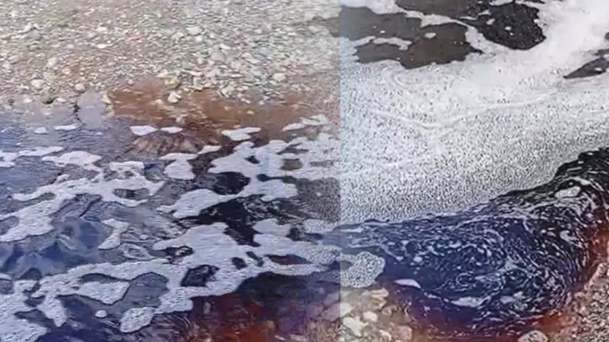 Taşköprü Sahilleri Kırmızıya Büründü: Denizde Gizemli Sıvı Paniği