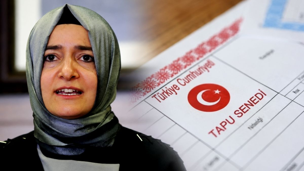 AKP'li Eski Bakanın Ailesine Ait Milyarlık Varlıklar Ortaya Çıktı