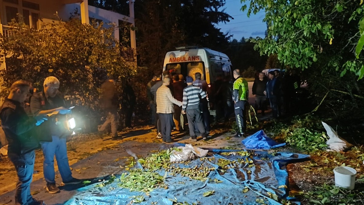 Ağaçtan Düşen Adamın Ölümü: Ceviz Toplarken Hayatını Kaybetti