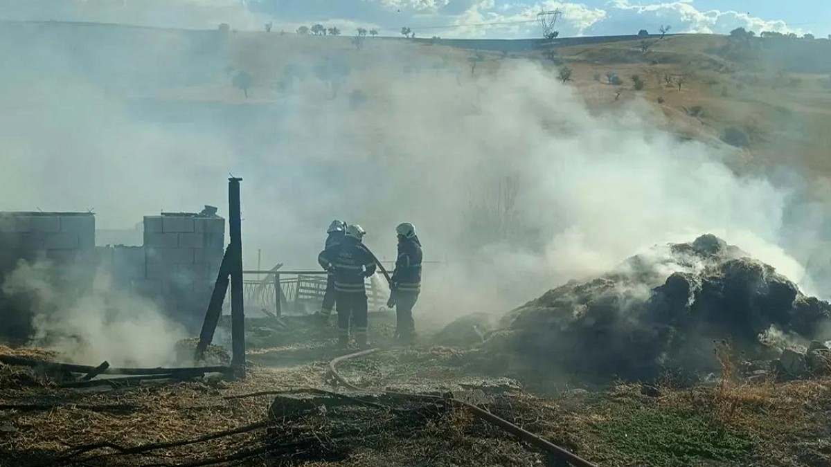 Kütahya'da Ahırda Çıkan Yangın Can Aldı: 1 Ölü, 5 Hayvan Telef Oldu