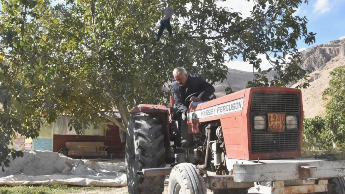 Tekirdağ'da Ceviz Hasadı Başladı: Bereketli Bir Sezon Bekleniyor