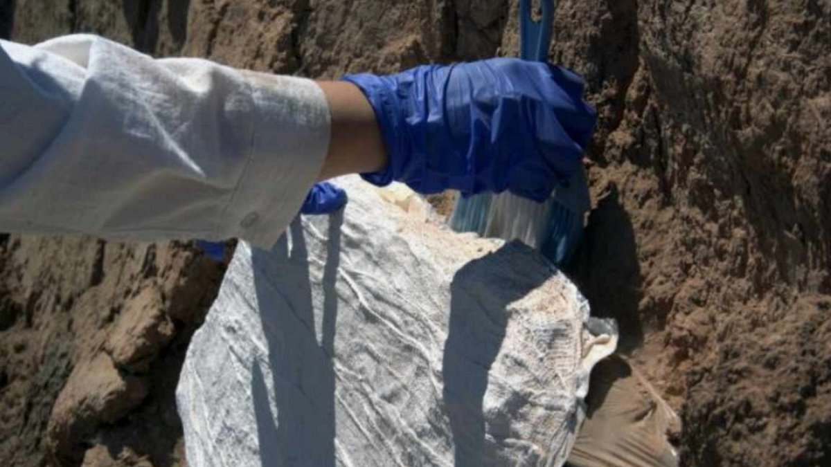 Sivas'ta Bulunan 3400 Yıllık Hitit Arşivi Salgın ve Savaş Sırlarını Açığa Çıkardı