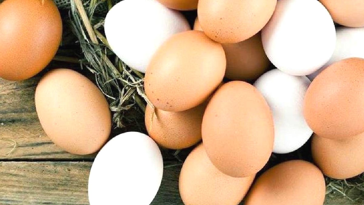B12 Kaynağı En Zengin 8 Besin: Yumurtayı Geride Bırakanlar Açıklandı