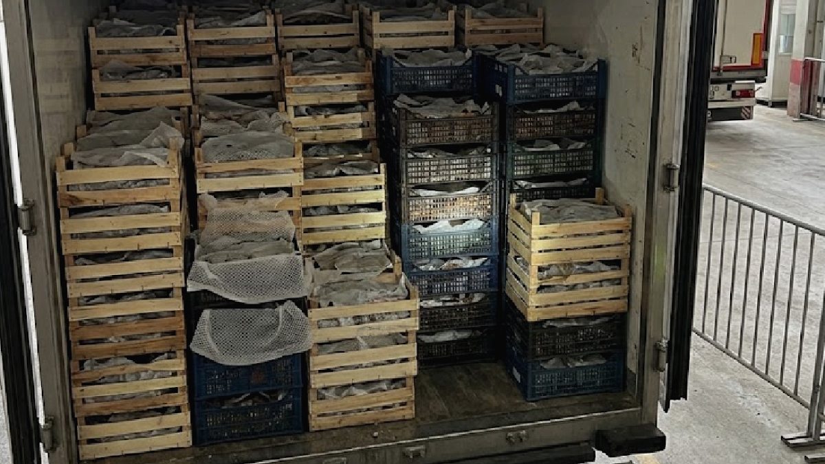 Bulgaristan'dan Türkiye'ye Dönüyor: Pestisit Sınırını Aşan Üzüm Sevkiyatı Reddedildi
