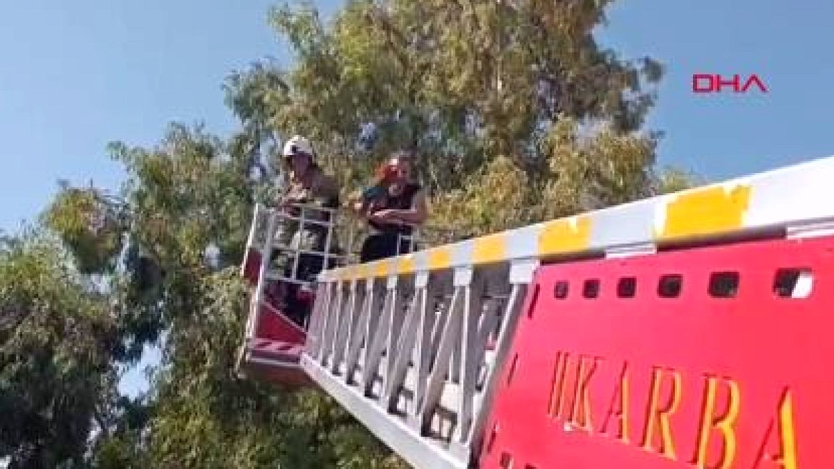 İtfaiye Ekipleri Kaçak Papağanı Kurtarma Operasyonu Düzenledi