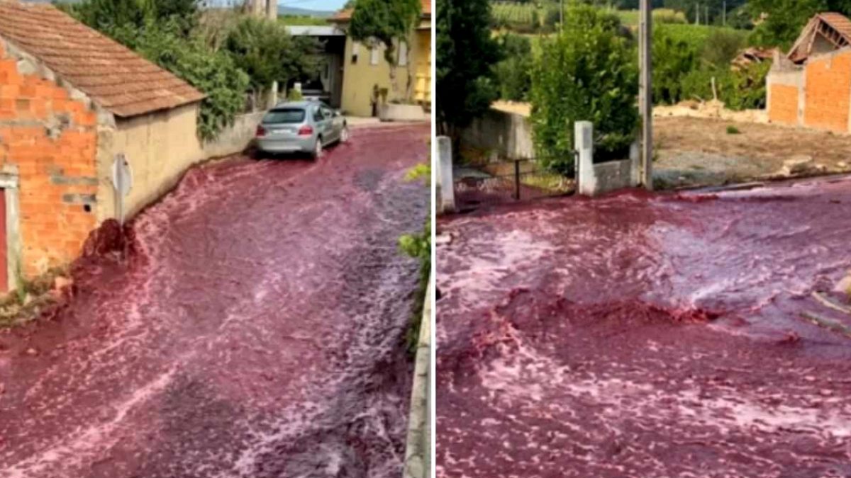 Portekiz'de Şarap Tankları Patladı: Köy Kırmızıya Boyandı