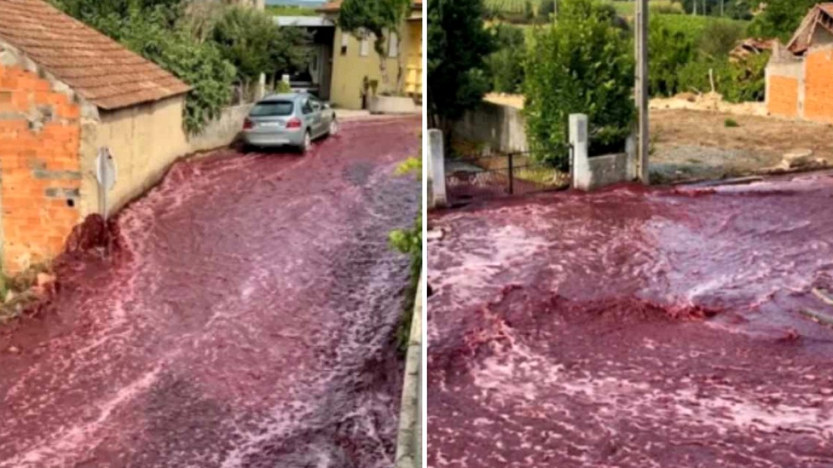 Portekiz'de Şarap Tankları Patladı: Köy Kırmızı Sel Altında Kaldı