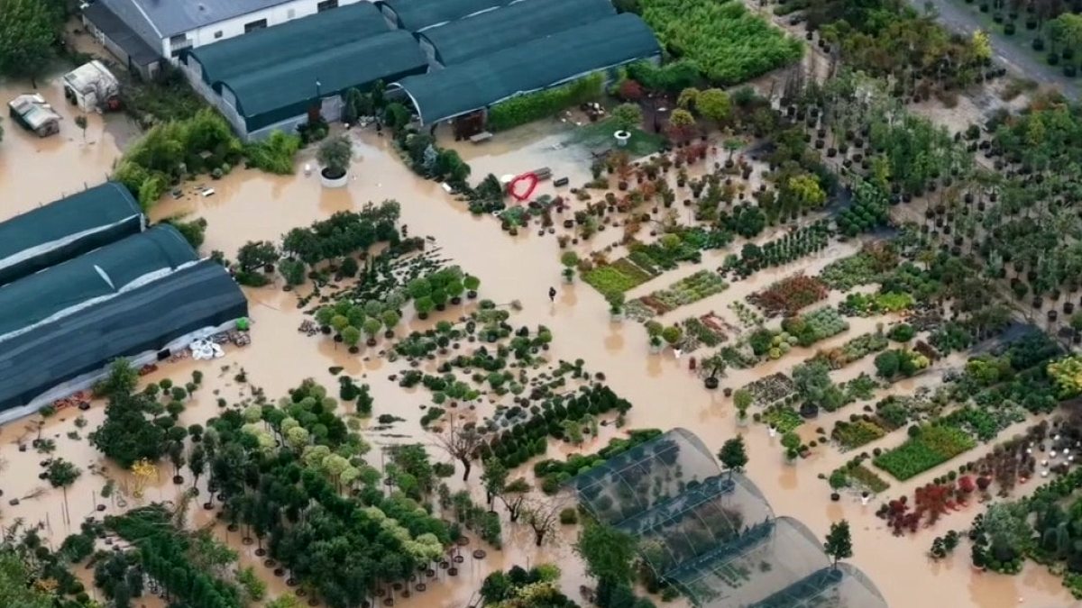 İstanbul'da Şiddetli Yağış: Beykoz ve Şile'de Sel Felaketi