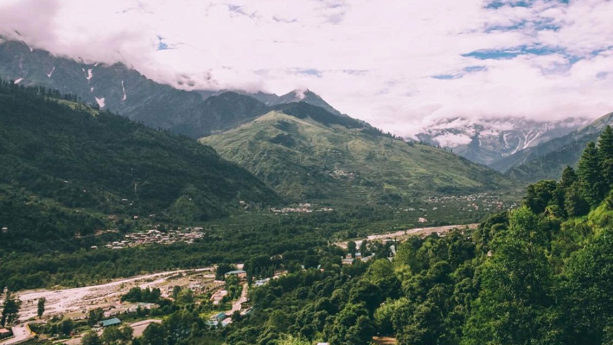 Himalayalar'da Altından Değerli Nadir Mantar Keşfi