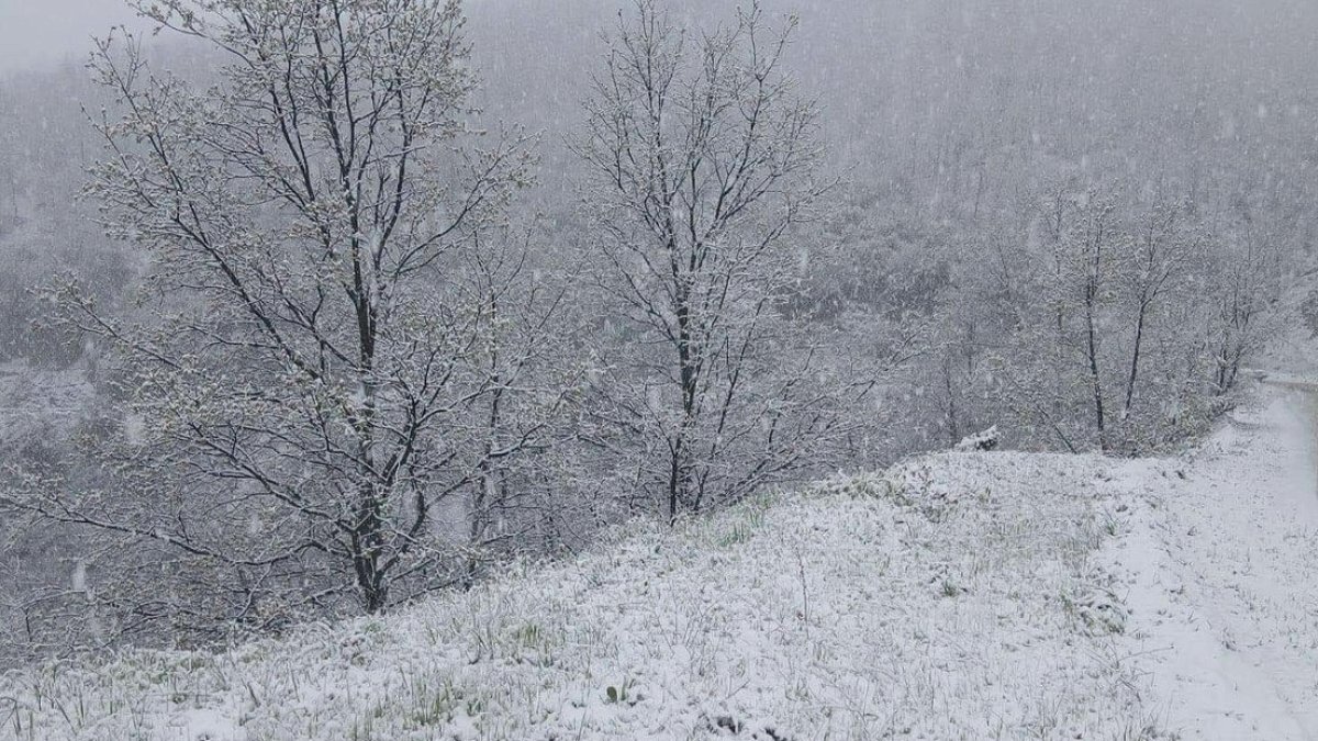 Manisa'da Beklenmedik Kar Yağışı Yaylaları Beyaza Büründürdü