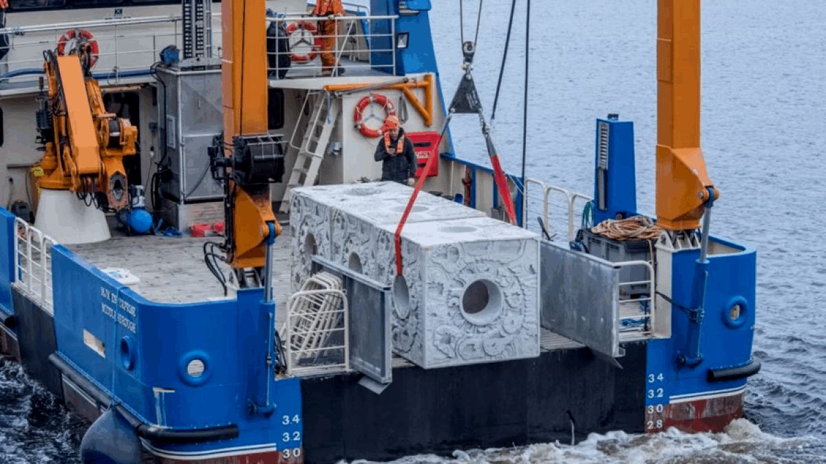 İngiltere Kıyılarında Deniz Ekosistemini Canlandırma Projesi Başladı