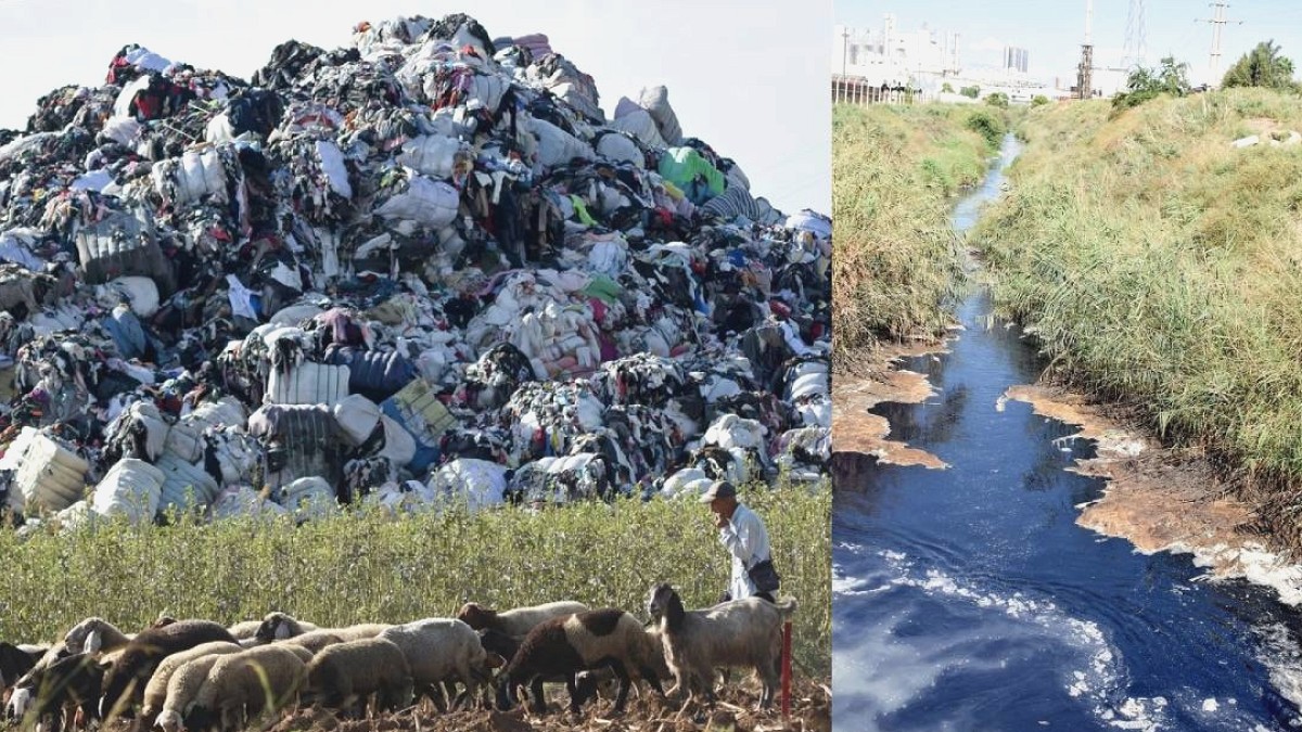 Avrupa'nın Plastik Çöpü Türkiye Kıyılarında: Akdeniz Zehirleniyor
