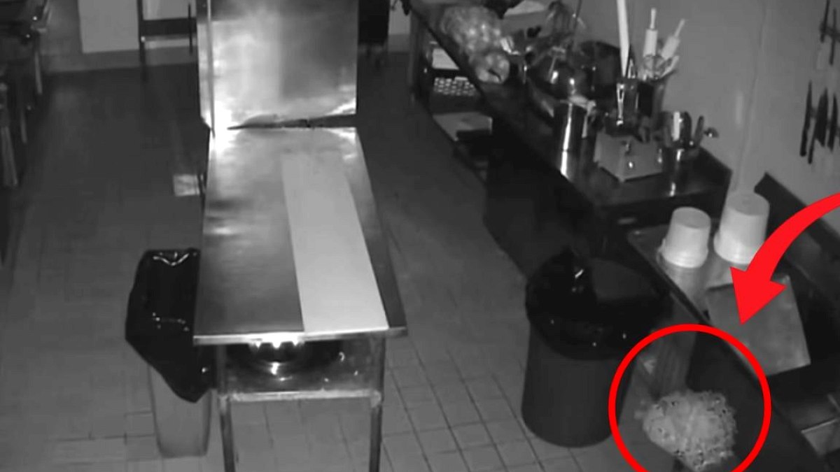 Gizemli Siluet ABD'li Bira Fabrikasında Panik Yarattı