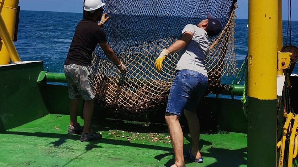 Deniz Salyangozu İhracatı Rekor Kırdı: 14 Milyon Dolarlık Gelir