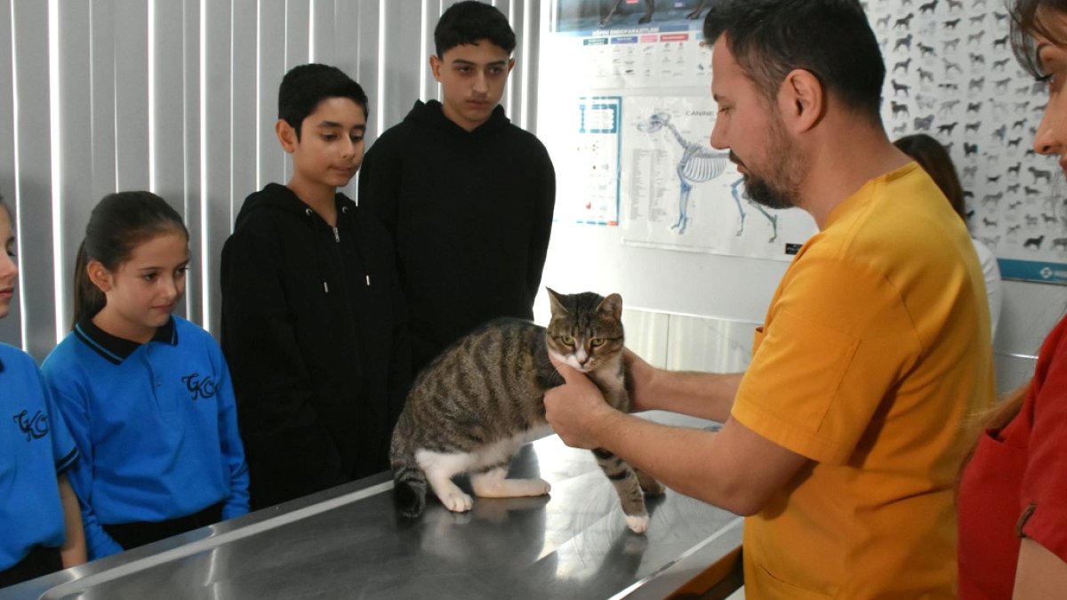 Öğrencilerden Minik Dostları İçin El Ele: 22 Bin TL'lik Kurtuluş Hikayesi