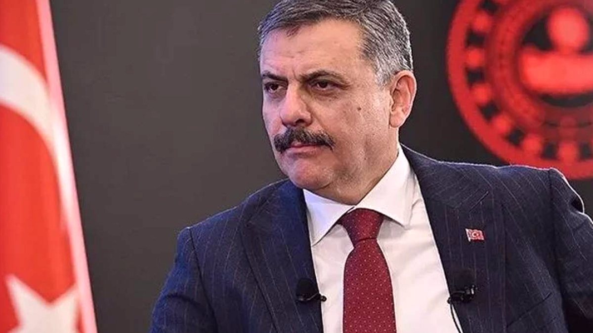 İçişleri Bakanı Duyurdu: Sokak Hayvanları Tamamen Barınaklarda