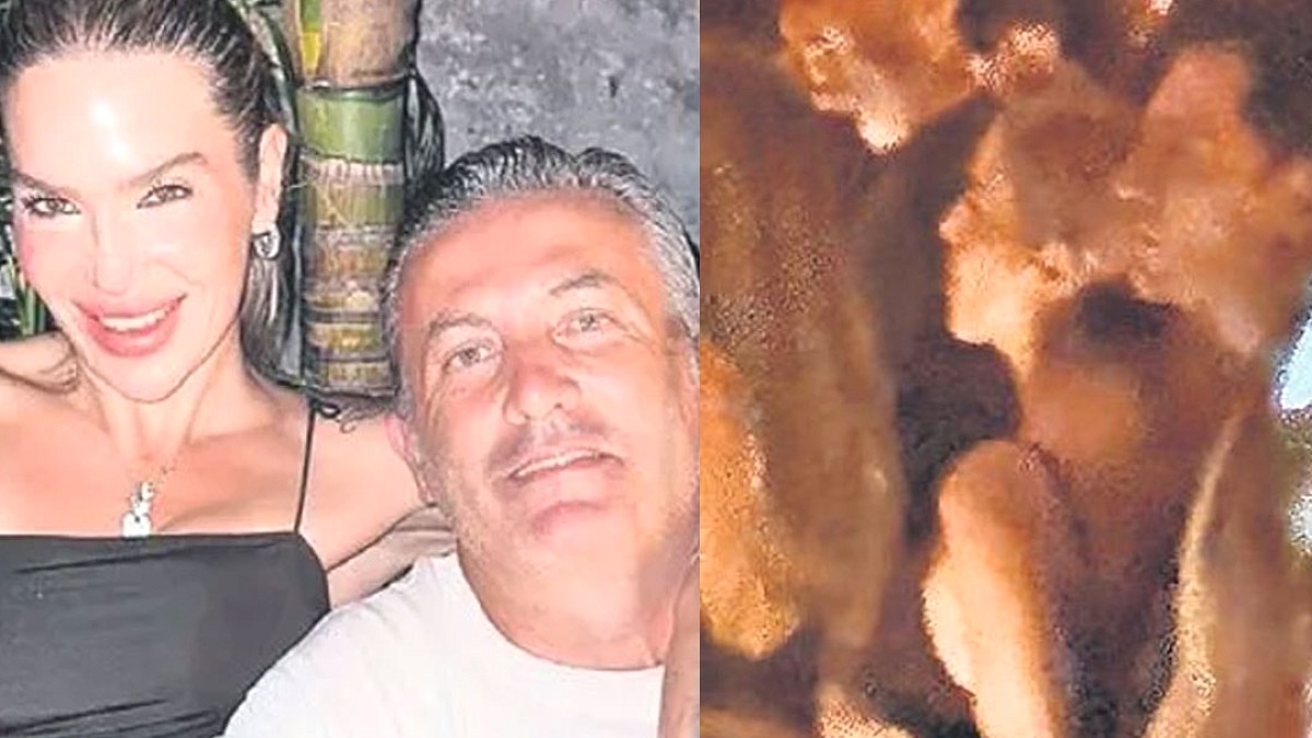 Aldeberan Özdoğan'dan 'Yaşar İpek' İddialarına Avukatıyla Yanıt