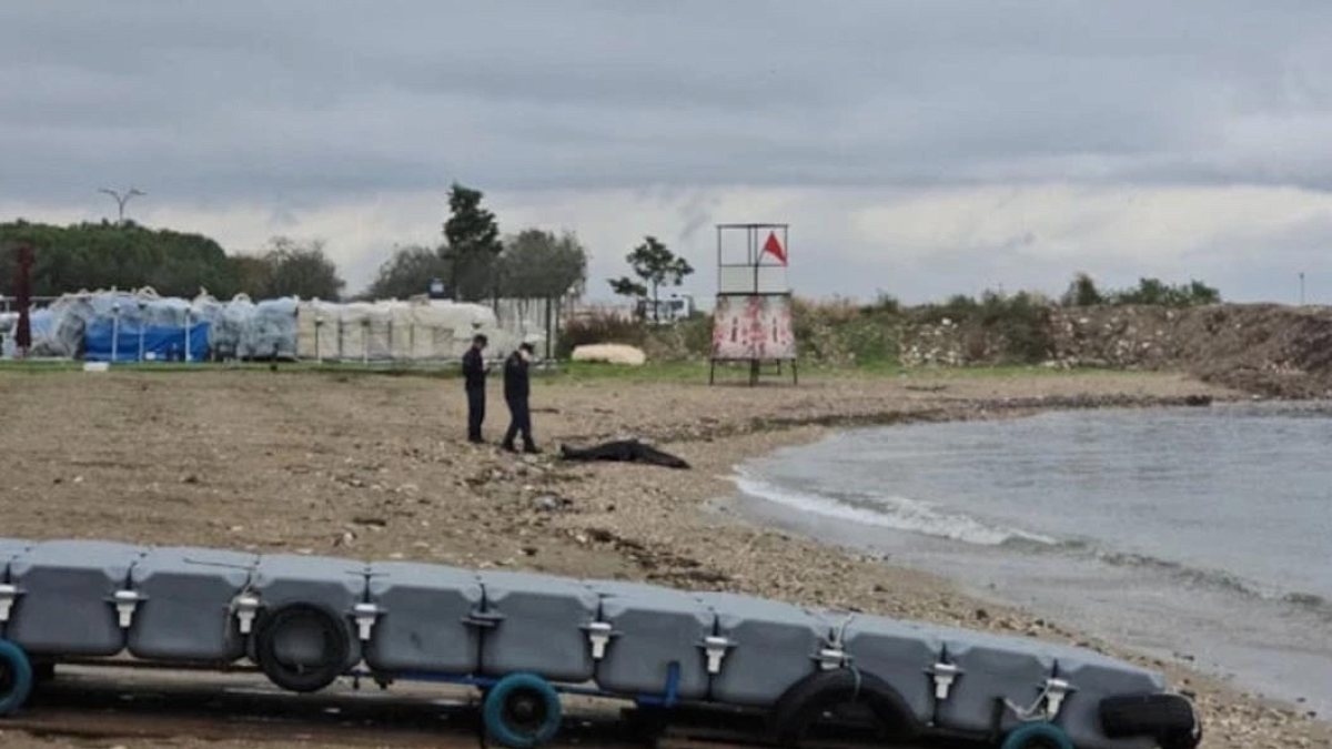 Bursa Sahilinde Gizemli Erkek Cesedi Bulundu: Kimlik ve Ölüm Nedeni Araştırılıyor