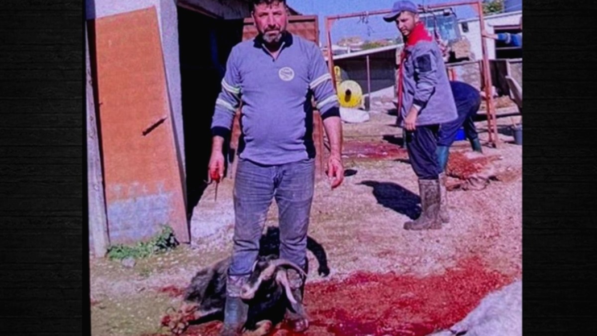 Fon Vurgunu Davasında Kritik Gelişme: Şirket Sahipleri Adak Kesti