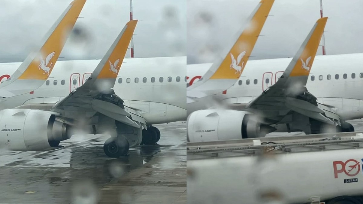 İstanbul'dan Kalkan Uçağa Kuş Sürüsü Saldırdı: Hasar Büyük!